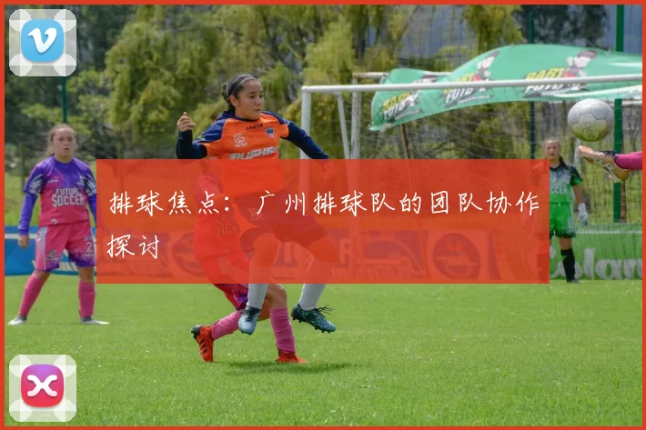 排球焦点：广州排球队的团队协作探讨