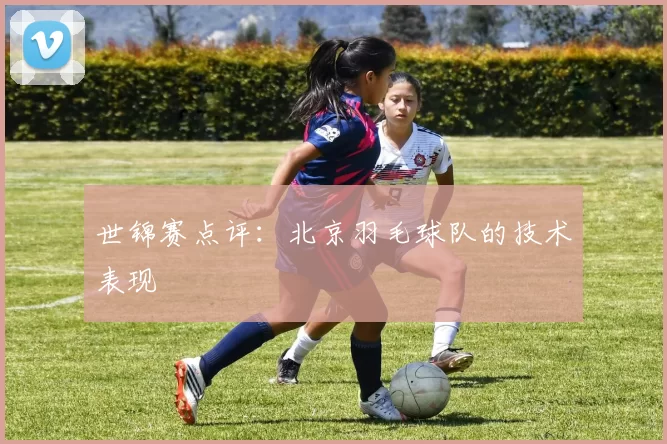 世锦赛点评：北京羽毛球队的技术表现