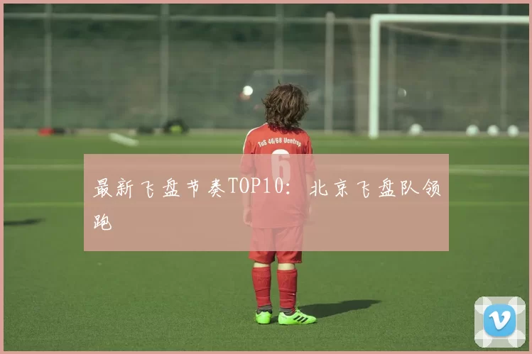 最新飞盘节奏TOP10：北京飞盘队领跑