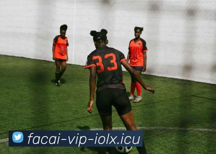 星空体育平台生态图